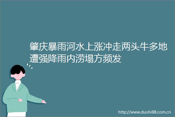 肇庆暴雨河水上涨冲走两头牛多地遭强降雨内涝塌方频发