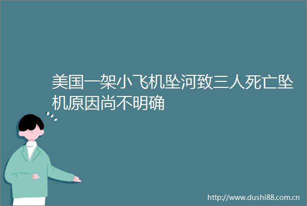 美国一架小飞机坠河致三人死亡坠机原因尚不明确