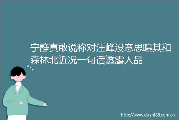 宁静真敢说称对汪峰没意思曝其和森林北近况一句话透露人品