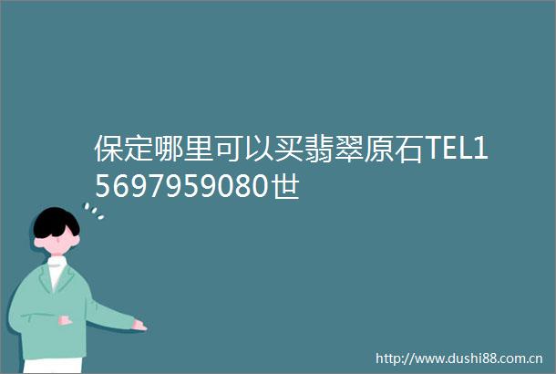 保定哪里可以买翡翠原石TEL15697959080世