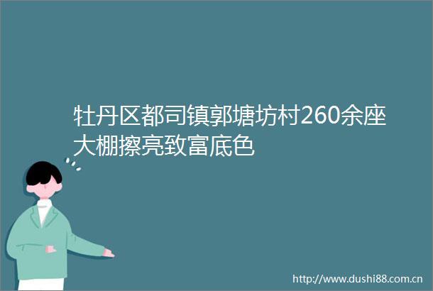 牡丹区都司镇郭塘坊村260余座大棚擦亮致富底色