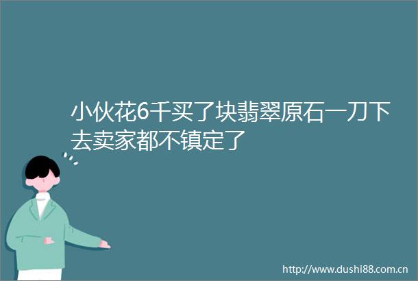 小伙花6千买了块翡翠原石一刀下去卖家都不镇定了