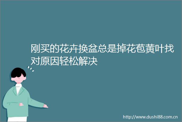 刚买的花卉换盆总是掉花苞黄叶找对原因轻松解决