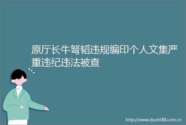 原厅长牛弩韬编印个人文集严重被查