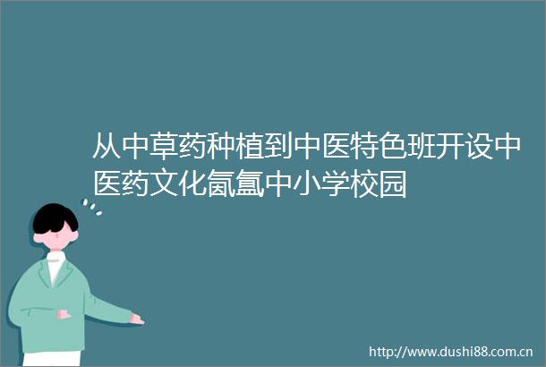 从中草药种植到中医特色班开设中医药文化氤氲中小学校园