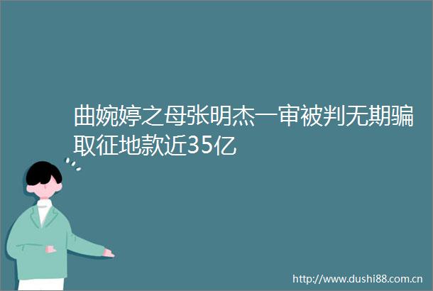 曲婉婷之母张明杰一审被判无期取征地款近35亿