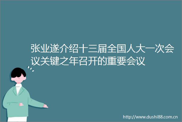张业遂介绍十三届全国人大一次会议关键之年召开的重要会议