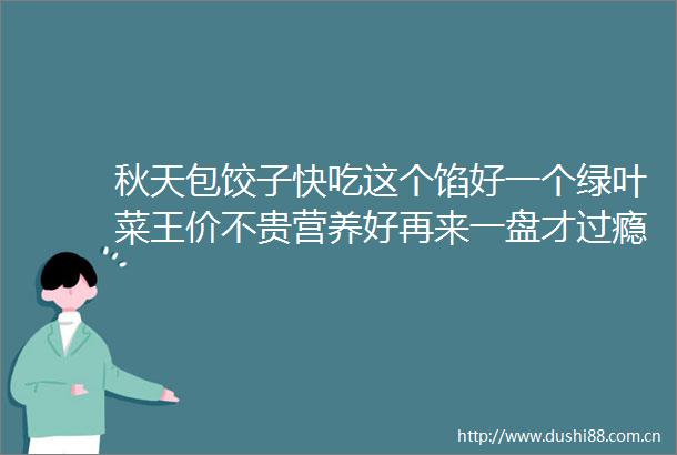 秋天包饺子快吃这个馅好一个绿叶菜王价不贵营养好再来一盘才过瘾