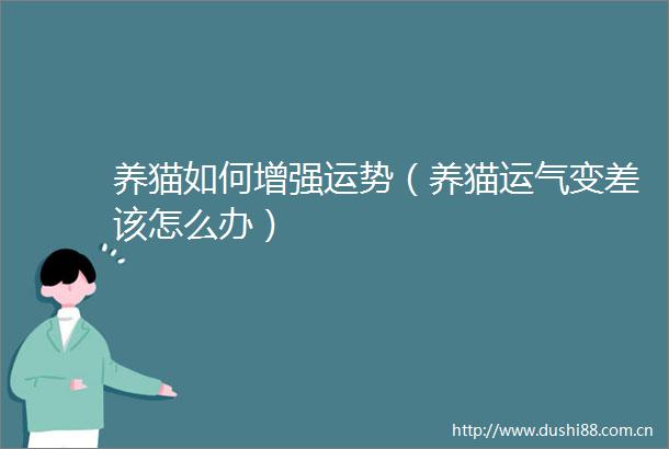 养猫如何增强运势（养猫运气变差该怎么办）
