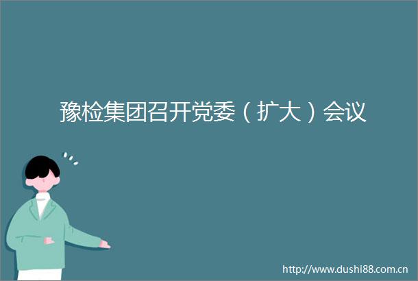 豫检集团召开党委（扩大）会议