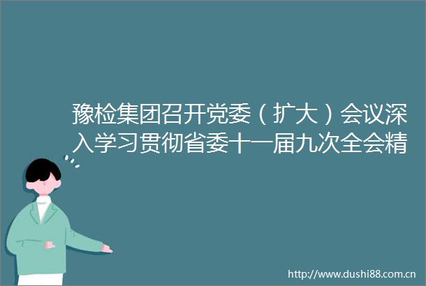 豫检集团召开党委（扩大）会议深入学习贯彻省委十一届九次全会精神