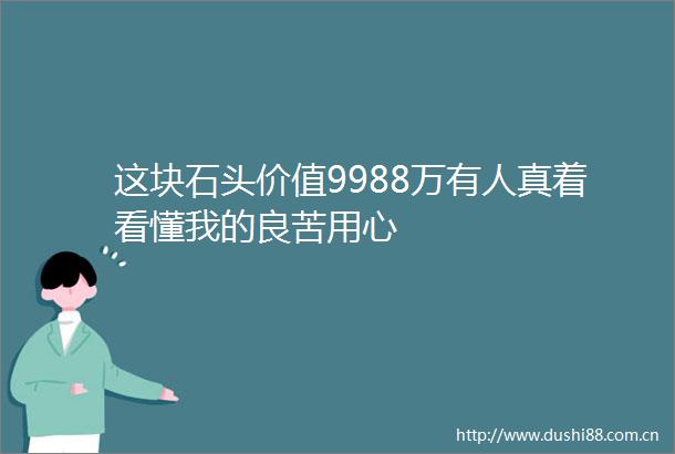 这块石头价值9988万有人真着看懂我的良苦用心