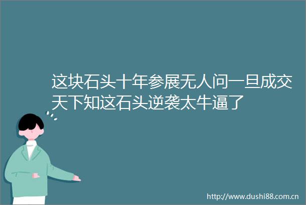 这块石头十年参展无人问一旦成交天下知这石头逆袭太牛逼了