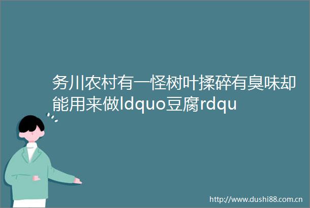 务川农村有一怪树叶揉碎有臭味却能用来做ldquo豆腐rdquo还能防暑降温你知道是什么树吗