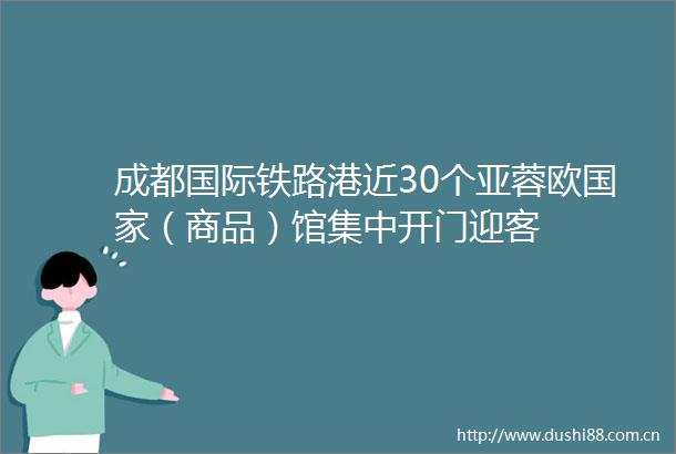 成都国际铁路港近30个亚蓉欧（商品）馆集中开门迎客