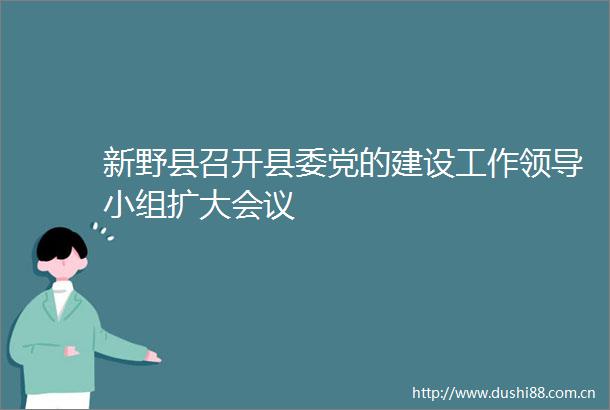 新野县召开县委党的建设工作小组扩大会议