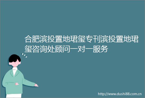合肥滨投置地珺玺专刊滨投置地珺玺咨询处顾问一对一服务