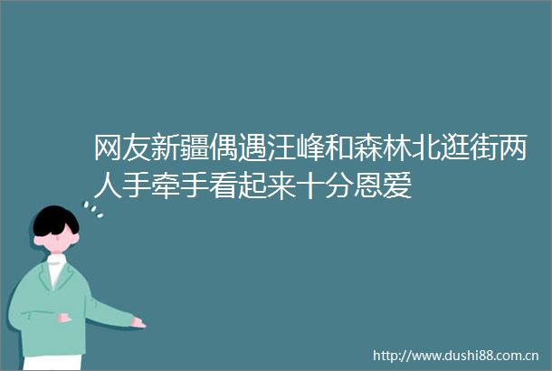 网友新疆偶遇汪峰和森林北逛街两人手牵手看起来十分恩爱