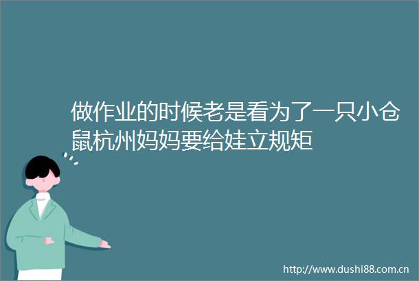 做作业的时候老是看为了一只小仓鼠杭州妈妈要给娃立规矩