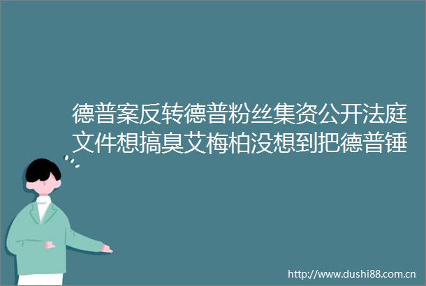 德普案反转德普粉丝集资公开文件想搞臭艾梅柏没想到把德普锤惨了