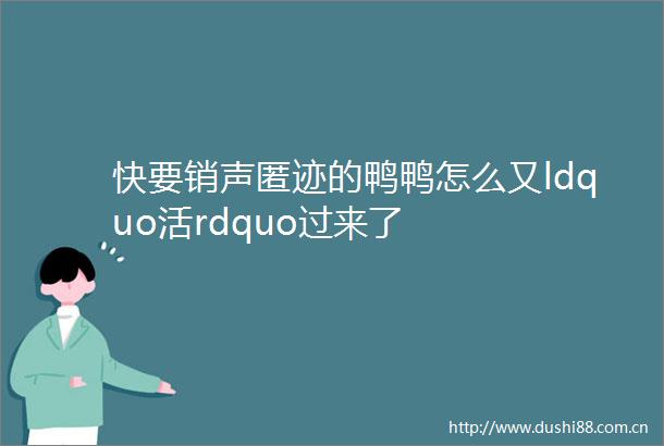 快要销声匿迹的鸭鸭怎么又ldquo活rdquo过来了