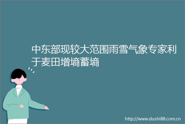 中东部现较大范围雨雪气象专家利于麦田增墒蓄墒