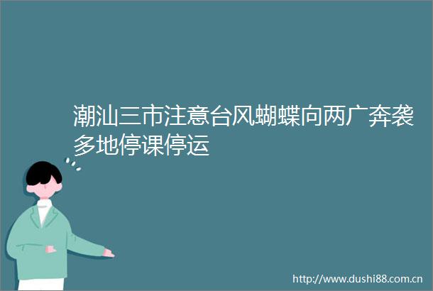 潮汕三市注意台风蝴蝶向两广奔袭多地停课停运