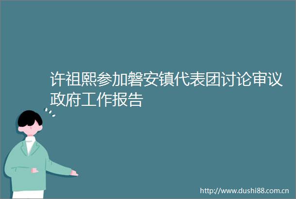 许祖熙参加磐安镇代表团讨论审议工作报告