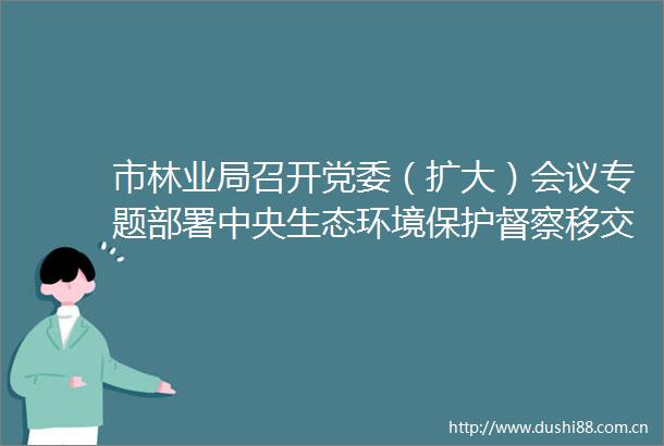 市林业局召开党委（扩大）会议专题部署中央生态环境保护督察移交件问题整改工作