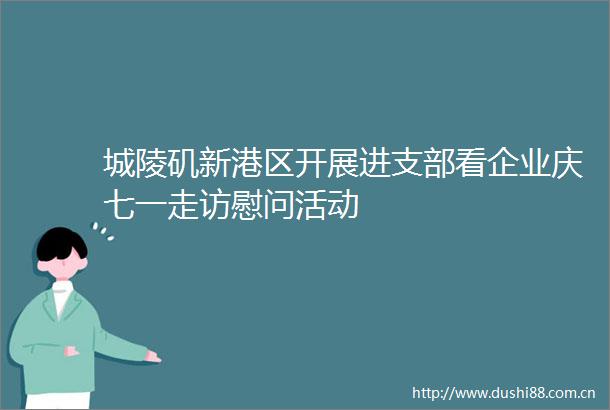 城陵矶新港区开展进支部看企业庆七一走访慰问活动
