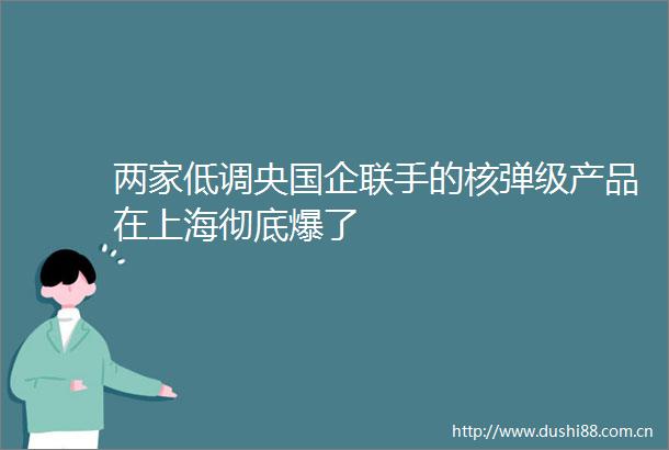 两家低调央国企联手的核弹级产品在上海彻底爆了