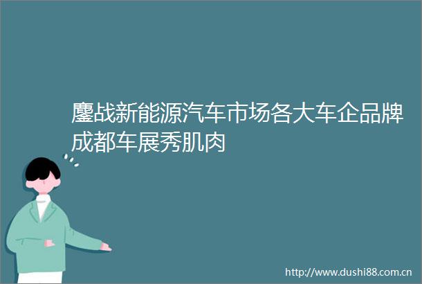 鏖战新能源汽车市场各大车企品牌成都车展秀肌肉