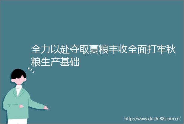 全力以赴夺取夏粮丰收全面打牢秋粮生产基础