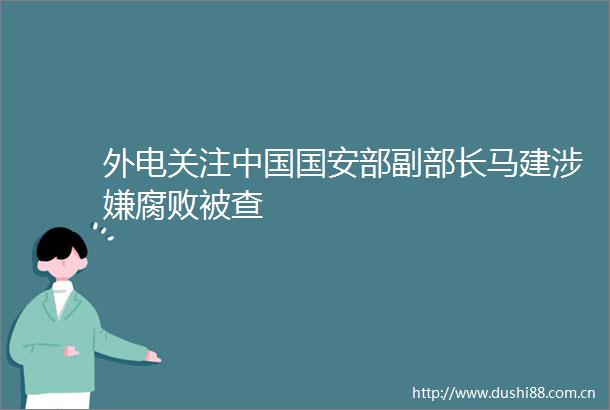 外电关注国安部副部长马建被查