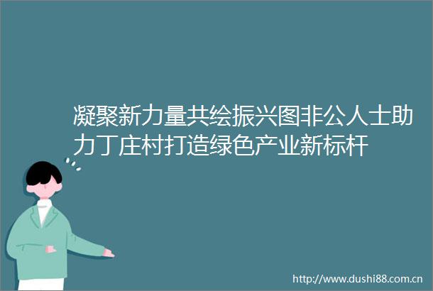 凝聚新力量共绘振兴图非公人士助力丁庄村打造绿色产业新标杆