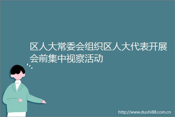 区人大常委会组织区人大代表开展会前集中视察活动
