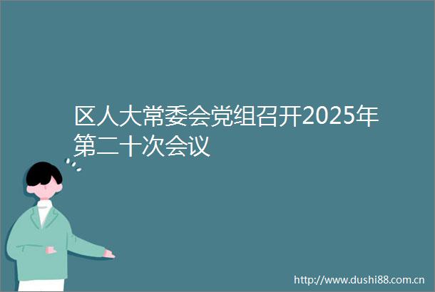区人大常委会党组召开2025年第二十次会议
