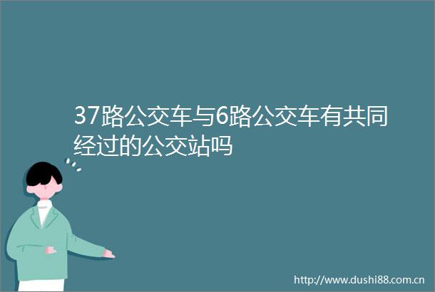 37路公交车与6路公交车有共同经过的公交站吗