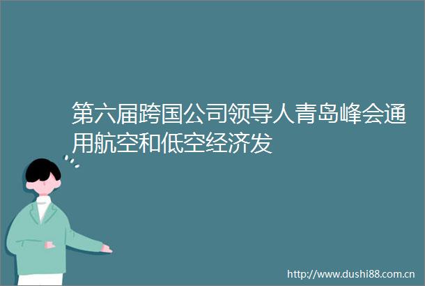 第六届跨国公司人青岛峰会通用航空和低空经济发
