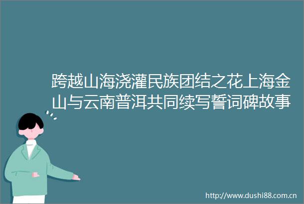 跨越山海浇灌民族团结之花上海金山与云南普洱共同续写誓词碑故事