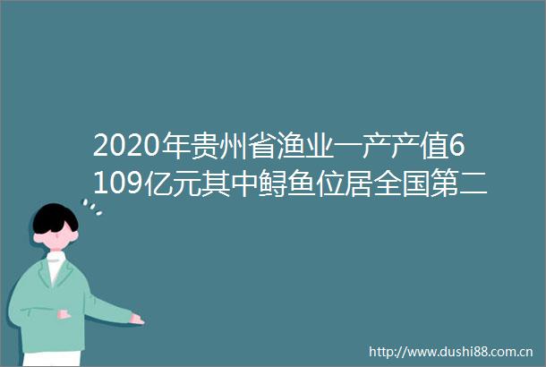 2020年贵州省渔业一产产值6109亿元其中鲟鱼位居全国第二
