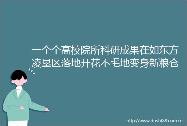 一个个高校院所科研成果在如东方凌垦区落地开花不毛地变身新粮仓