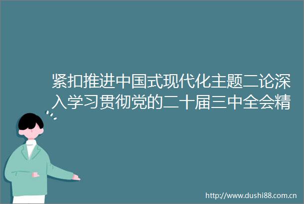 紧扣推进式现代化主题二论深入学习贯彻党的二十届三中全会精神