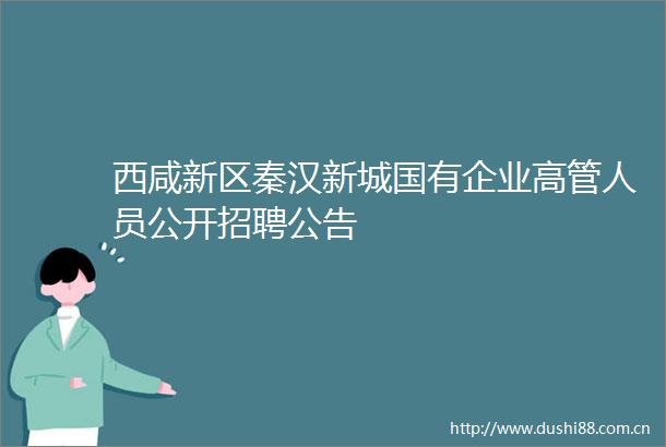 西咸新区秦汉新城国有企业高管人员公开招聘公告