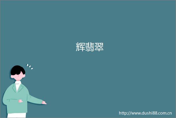 辉翡翠