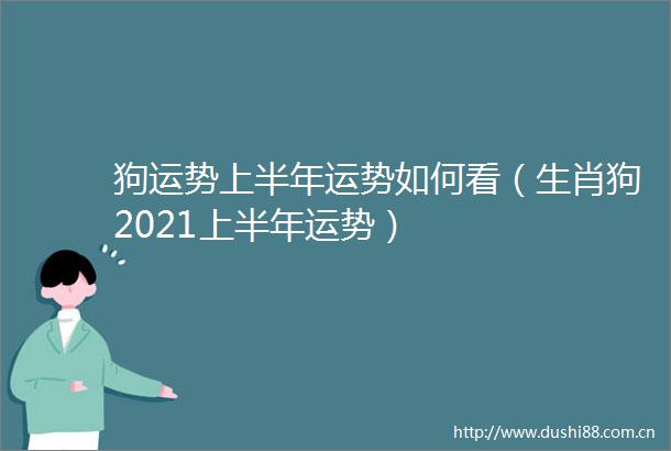 狗运势上半年运势如何看（生肖狗2021上半年运势）