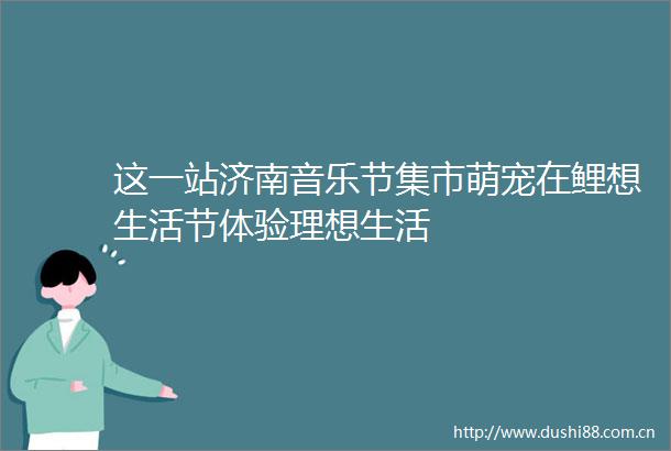 这一站济南音乐节集市萌宠在鲤想生活节体验理想生活