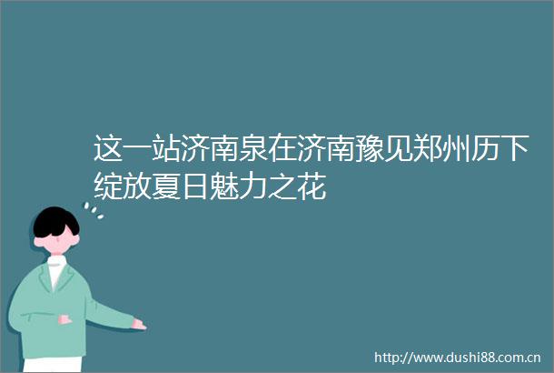 这一站济南泉在济南豫见郑州历下绽放夏日魅力之花