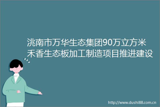 洮南市万华生态集团90万立方米禾香生态板加工制造项目推进建设