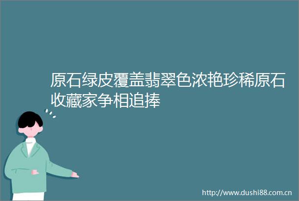 原石绿皮覆盖翡翠色浓艳珍稀原石收藏家争相追捧